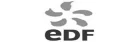 logo_edf